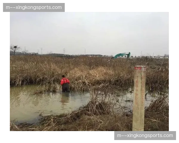 在线巡检逻辑替代人工抽查 赛事品质管控实现全程留痕